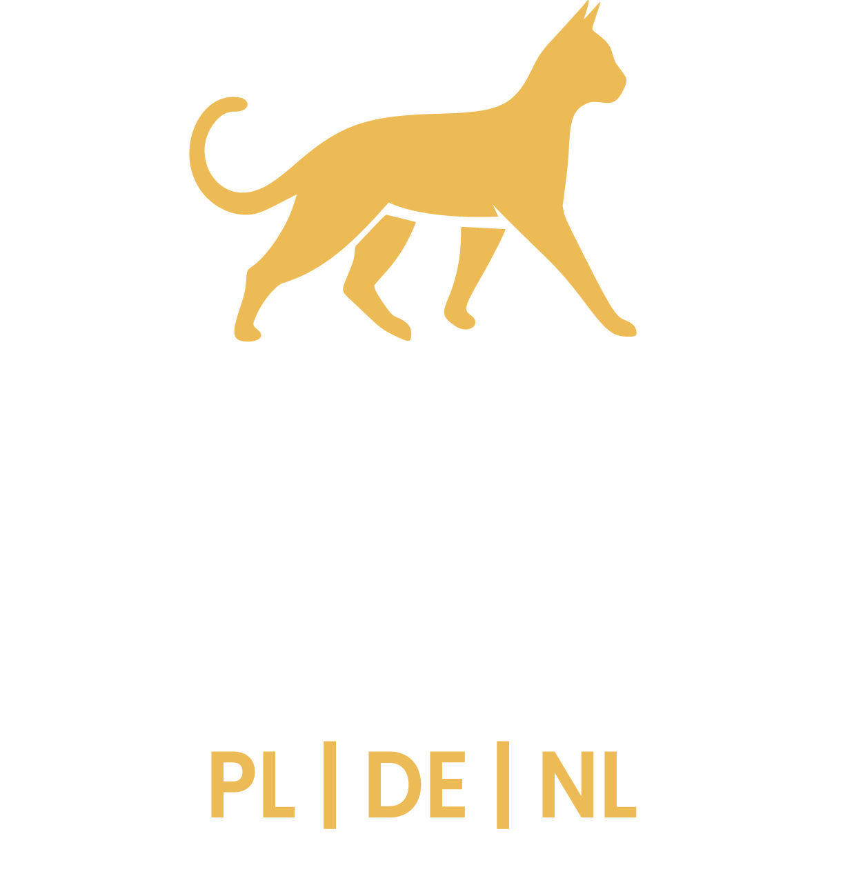 Logo BudCat